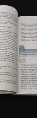 Lengua Española Elizabeth Padilla Edit. Perdón Prentice Hall — vintage México, años NOW (foto 7)