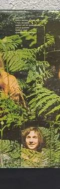 Disco Vinilo Savoy Brown A Step Further London Rec. 1969 Usa Estándar — Audio vintage, años 60s (foto 4)