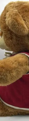 Oso Teddy 1986 Abc Toys Cuenta Cuento Cassette/pilas Vintage Marrón — Audio vintage, años 80s (foto 6)
