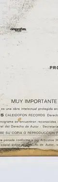 Disco Lp Los Wizard Mante Quien Es Caleidofon Records 1975 Estándar — Audio vintage, años 70s (foto 4)