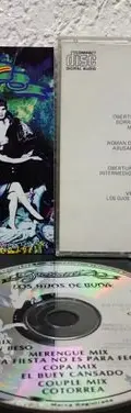 Cd Garibaldi - Los Hijos De Buda 1991 Epic Nacional Original Estándar — Audio vintage, años 90s (foto 5)