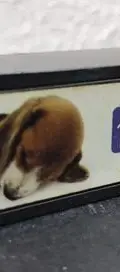 Sacapuntas Beagle The Dog Artlist Collection Gamesa — vintage México