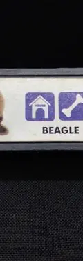Sacapuntas Beagle The Dog Artlist Collection Gamesa — vintage México (foto 2)