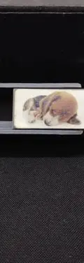 Sacapuntas Beagle The Dog Artlist Collection Gamesa — vintage México (foto 9)