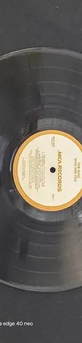 Disco Lp Acetato The Who Who Are You Mca Records 1976 Usa Estándar — Audio vintage, años 70s (foto 6)