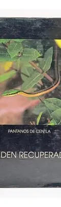 Pantanos De Centla El Eden Recuperado Isabel Arvide 1996 — Coleccionables vintage, años 90s