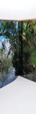 Pantanos De Centla El Eden Recuperado Isabel Arvide 1996 — Coleccionables vintage, años 90s (foto 7)