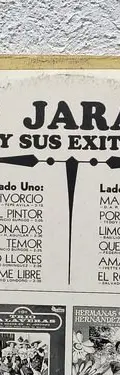 Julio Jaramillo Y Sus Éxitos 1970 Monaural Trébol Vynil Lp — Audio vintage, años 70s (foto 9)