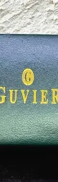 Caja/estuche Rígido De Lujo Para Joyería Guvier Original Verde Musgo — Coleccionables vintage (foto 2)