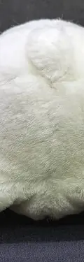 Peluche Oso Polar Coca Cola 18cm De Colección Navidad Usado Blanco — Coleccionables vintage (foto 6)