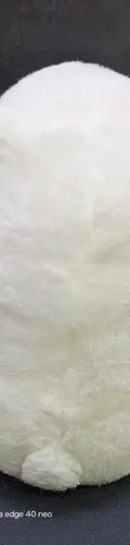Peluche Oso Polar Coca Cola 18cm De Colección Navidad Usado Blanco — Coleccionables vintage (foto 4)
