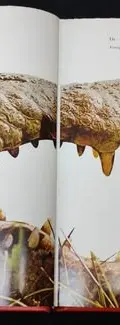 Libro Animales Salvajes Dr. Felix Rodríguez Everest 1980 — Coleccionables vintage, años 80s (foto 7)
