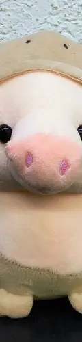 Peluche Puerquito Con Disfraz Kawaii Suave Rosa Con Cafe — Coleccionables vintage