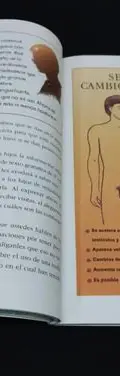 La Sexualidad De Nuestros Hijos Los Libros De Mamá Y Papa — Coleccionables vintage, años NOW (foto 7)