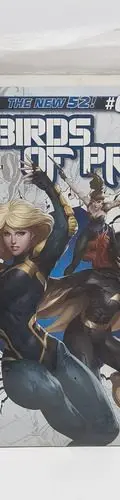 Comic Dc Comics The New 52! Birds Of Prey #0 Nov 2012 Ingles — Coleccionables vintage, años NOW