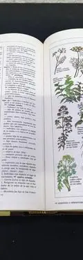 Diccionario Inverso Ilustrado Reader's Digest México 1992 — Coleccionables vintage, años 90s (foto 9)