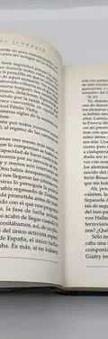Libro Vichy 1940 Fernando Schwartz Premio Primavera 2006