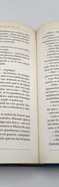 Libro Vichy 1940 Fernando Schwartz Premio Primavera 2006