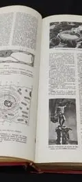 Gran Diccionario Enciclopedico Ilustrado Selecciones Tomo 3 — Coleccionables vintage, años 70s (foto 8)