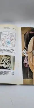 Libro Entender La Pintura Picasso #2 Orbis Fabbri 1989 — Coleccionables vintage, años 80s (foto 10)