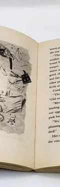 Coraline De Neil Gaiman Pasta Blanda Libro En Ingles 2002 — Coleccionables vintage, años NOW (foto 8)