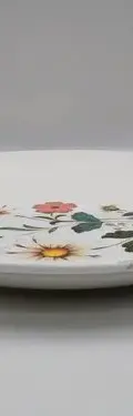 Plato Antiguo Porcelana Mediano Flores San Isidro Usado Blanco Floreado — Decoración vintage (foto 6)