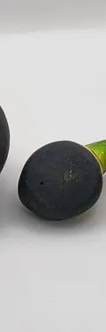 Familia De Tucanes Hechos De Barro/arcilla Vintage Colección Negro Naranja Amarillo Verde Azul Blanco — Coleccionables vintage (foto 7)