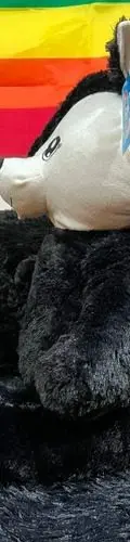 Peluche Grande Zorro Negro 55cm Muñelocos Usado — Coleccionables vintage (foto 2)