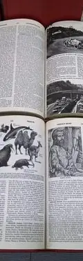 Enciclopedia Cumbre Ilustrada Grolier 14 Tomos 31 Edic. 1993 — Coleccionables vintage, años 90s (foto 10)
