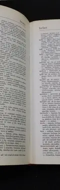 Diccionario De Sinónimos Y Antónimos-y Sinónimos En Inglés — Coleccionables vintage (foto 7)