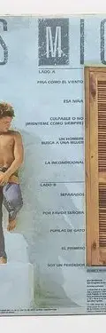 Vinyl Acetato Luis Miguel Cuando Un Hombre Busca A Una Mujer