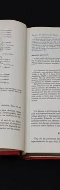 Libro Bioquimica Dental Eugene Lazzari 2° Edicion 1981 — Coleccionables vintage, años 80s (foto 7)