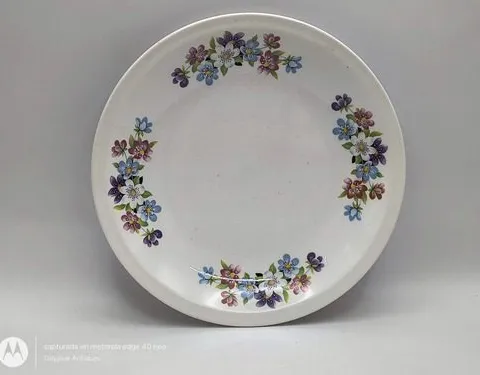 Plato Llano De Porcelana Borde Floral Nueva San Isidro 60's Colores Floreado
