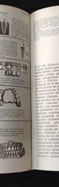 Enciclopedia Médica Del Hogar 2 Tomos Grolier Año 1980 — Coleccionables vintage, años 80s (foto 9)