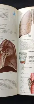 Enciclopedia Médica Del Hogar 2 Tomos Grolier Año 1980 — Coleccionables vintage, años 80s (foto 10)